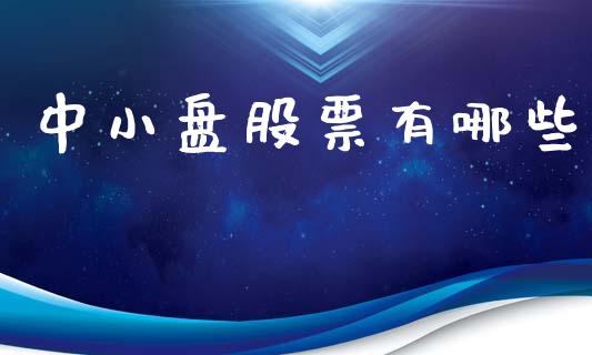 中小盘股票有哪些_https://www.kuaijiepai.net_期货在线_第1张