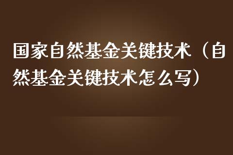 国家自然基金关键技术（自然基金关键技术怎么写）_https://www.kuaijiepai.net_期货理财_第1张