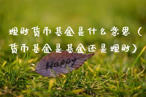 理财货币基金是什么意思（货币基金是基金还是理财）_https://www.kuaijiepai.net_投资理财_第1张