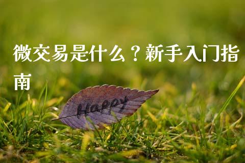 微交易是什么？新手入门指南_https://www.kuaijiepai.net_期货在线_第1张