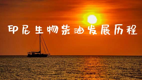 印尼生物柴油发展历程_投资理财_第1张_快捷排财经网 印尼生物柴油发展历程_https://www.kuaijiepai.net_投资理财_第1张