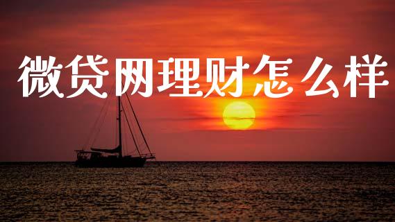 微贷网理财怎么样_https://www.kuaijiepai.net_国际股建_第1张