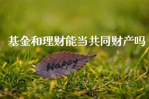 基金和理财能当共同财产吗_https://www.kuaijiepai.net_期货理财_第1张