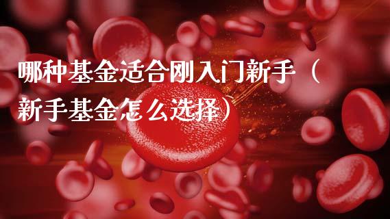 哪种基金适合刚入门新手（新手基金怎么选择）_https://www.kuaijiepai.net_投资理财_第1张