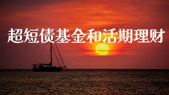 超短债基金和活期理财_https://www.kuaijiepai.net_期货理财_第1张