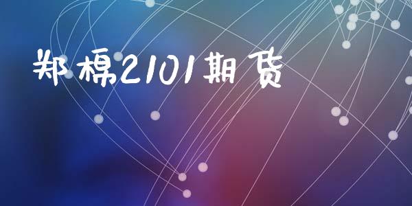 郑棉2101期货_https://www.kuaijiepai.net_期货资讯_第1张