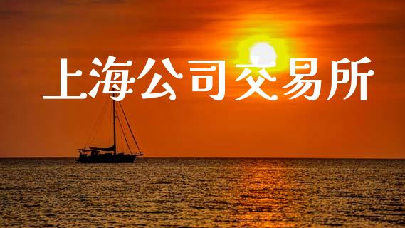 上海公司交易所_https://www.kuaijiepai.net_期货理财_第1张