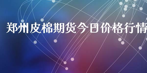 郑州皮棉期货今日价格行情_https://www.kuaijiepai.net_国际期货_第1张