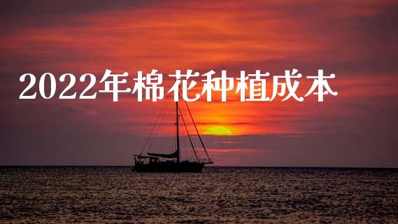 2022年棉花种植成本_https://www.kuaijiepai.net_期货资讯_第1张