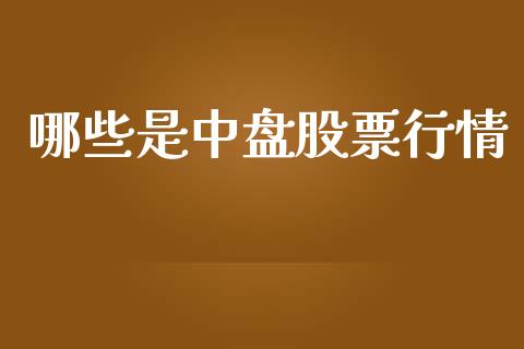 哪些是中盘股票行情_https://www.kuaijiepai.net_国际股建_第1张