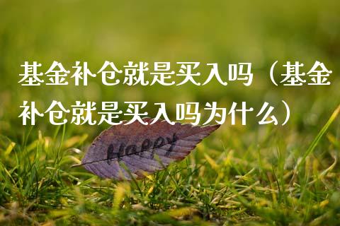 基金补仓就是买入吗（基金补仓就是买入吗为什么）_https://www.kuaijiepai.net_投资理财_第1张