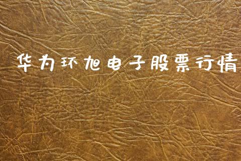 华为环旭电子股票行情_https://www.kuaijiepai.net_新股新闻_第1张