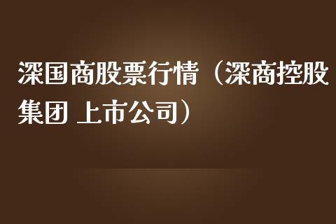 深国商股票行情（深商控股集团 上市公司）_https://www.kuaijiepai.net_新股新闻_第1张