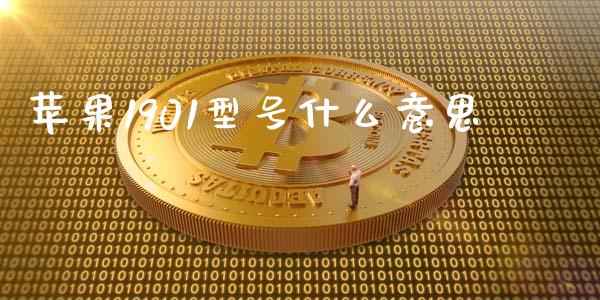 苹果1901型号什么意思_https://www.kuaijiepai.net_投资理财_第1张