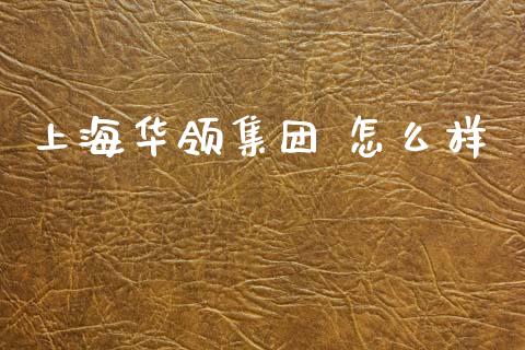 上海华领集团 怎么样_https://www.kuaijiepai.net_股票理论_第1张