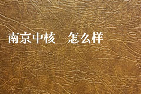 南京中核    怎么样_https://www.kuaijiepai.net_期货资讯_第1张