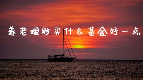 养老理财买什么基金好一点_https://www.kuaijiepai.net_投资理财_第1张