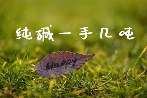 纯碱一手几吨_https://www.kuaijiepai.net_期货资讯_第1张