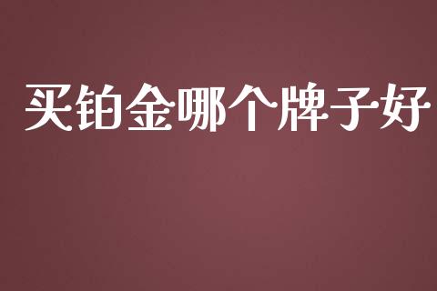 买铂金哪个牌子好_https://www.kuaijiepai.net_投资理财_第1张