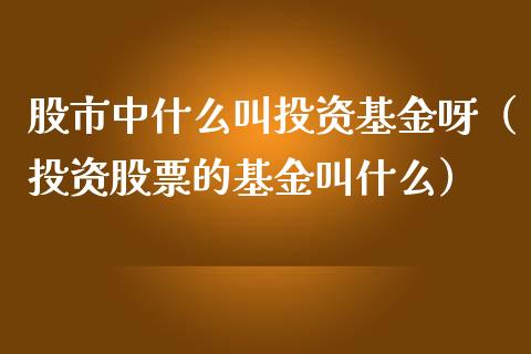 股市中什么叫投资基金呀（投资股票的基金叫什么）_https://www.kuaijiepai.net_期货理财_第1张