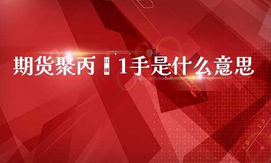 期货聚丙烯1手是什么意思_https://www.kuaijiepai.net_期货资讯_第1张