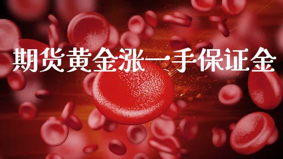 期货黄金涨一手保证金_https://www.kuaijiepai.net_期货资讯_第1张