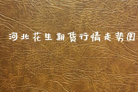 河北花生期货行情走势图_https://www.kuaijiepai.net_国际期货_第1张