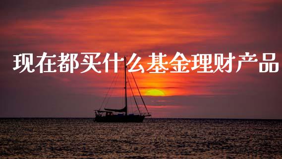 现在都买什么基金理财产品_https://www.kuaijiepai.net_投资理财_第1张