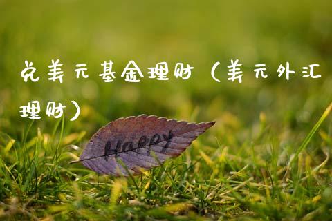 兑美元基金理财（美元外汇理财）_https://www.kuaijiepai.net_投资理财_第1张