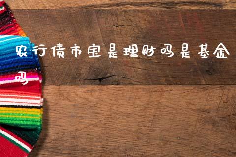 农行债市宝是理财吗是基金吗_https://www.kuaijiepai.net_期货理财_第1张