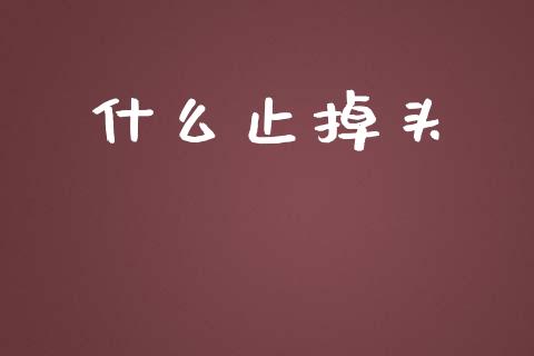 什么止掉头_https://www.kuaijiepai.net_股票理论_第1张