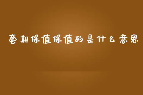 套期保值保值的是什么意思_https://www.kuaijiepai.net_国际期货_第1张