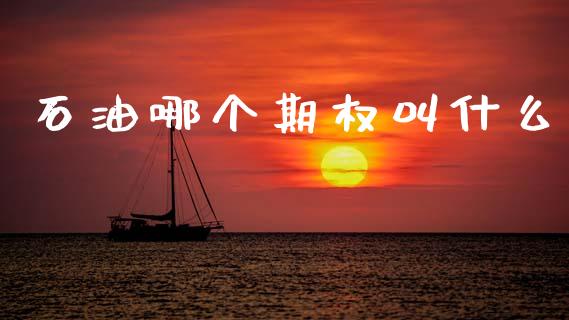 石油哪个期权叫什么_https://www.kuaijiepai.net_期货资讯_第1张