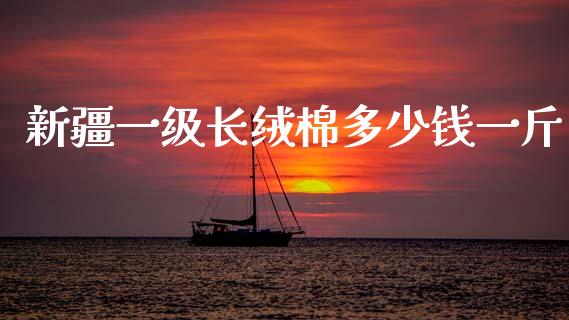 新疆一级长绒棉多少钱一斤_https://www.kuaijiepai.net_国际期货_第1张
