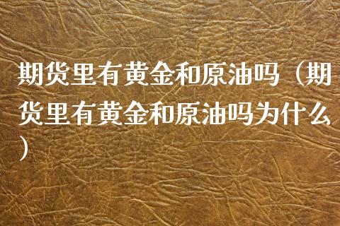 期货里有黄金和原油吗（期货里有黄金和原油吗为什么）_https://www.kuaijiepai.net_期货资讯_第1张