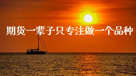 期货一辈子只专注做一个品种_https://www.kuaijiepai.net_期货资讯_第1张