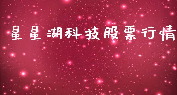 星星湖科技股票行情_https://www.kuaijiepai.net_新股新闻_第1张