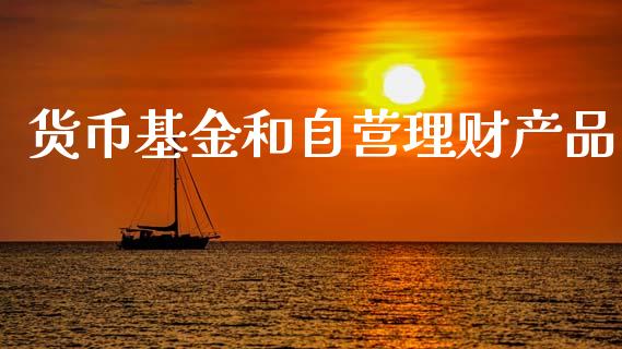 货币基金和自营理财产品_https://www.kuaijiepai.net_投资理财_第1张