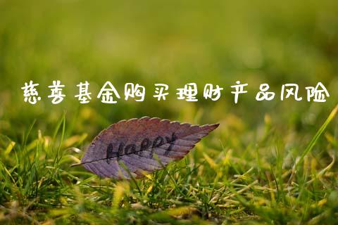 慈善基金购买理财产品风险_https://www.kuaijiepai.net_投资理财_第1张