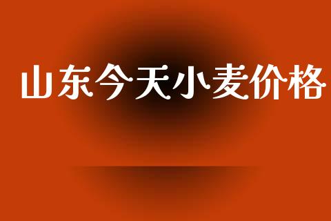 山东今天小麦价格_https://www.kuaijiepai.net_期货资讯_第1张