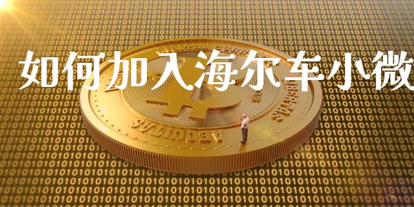 如何加入海尔车小微_https://www.kuaijiepai.net_新股新闻_第1张