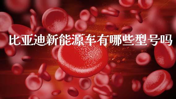 比亚迪新能源车有哪些型号吗_https://www.kuaijiepai.net_国际期货_第1张