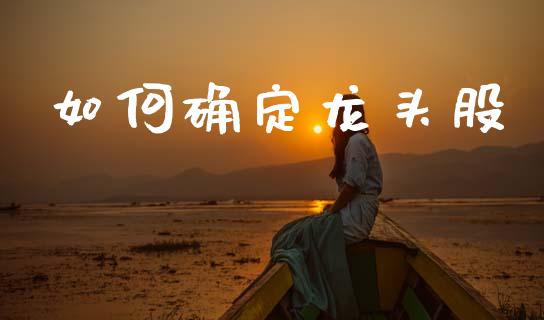 如何确定龙头股_期货在线_第1张_快捷排财经网 如何确定龙头股_https://www.kuaijiepai.net_期货在线_第1张