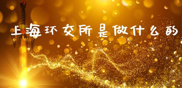 上海环交所是做什么的_https://www.kuaijiepai.net_期货在线_第1张