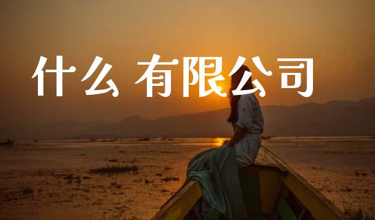 什么 有限公司_https://www.kuaijiepai.net_期货在线_第1张