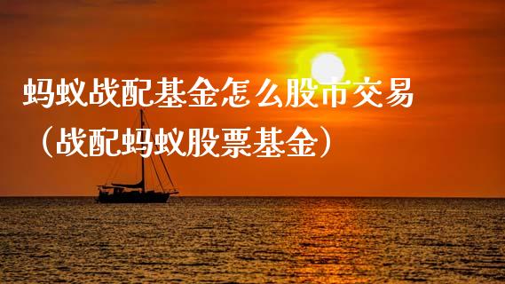 蚂蚁战配基金怎么股市交易（战配蚂蚁股票基金）_https://www.kuaijiepai.net_期货理财_第1张