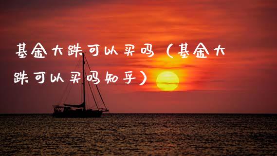 基金大跌可以买吗（基金大跌可以买吗知乎）_https://www.kuaijiepai.net_期货理财_第1张