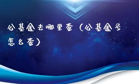 公基金去哪里查（公基金号怎么查）_https://www.kuaijiepai.net_投资理财_第1张