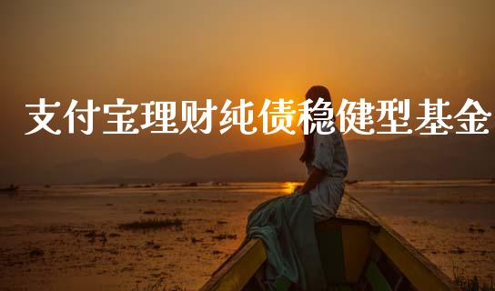 支付宝理财纯债稳健型基金_https://www.kuaijiepai.net_期货理财_第1张