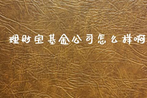 理财宝基金公司怎么样啊_https://www.kuaijiepai.net_投资理财_第1张